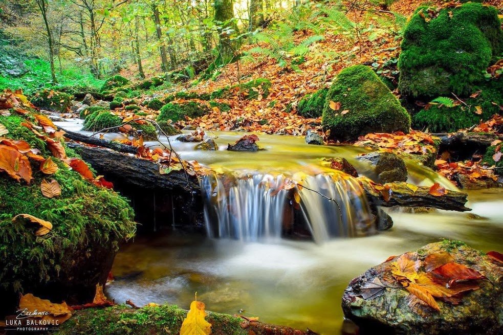 Autumn stream