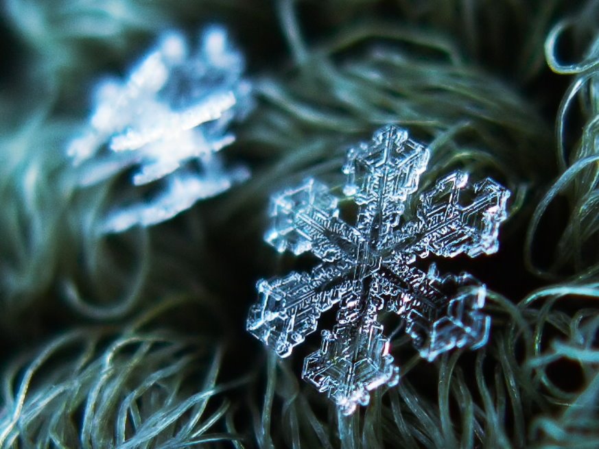 雪花 - 1