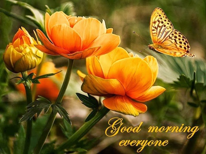 good morning013