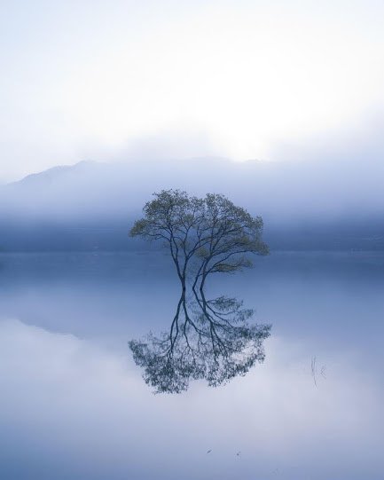 奇樹2015-0005.jpg