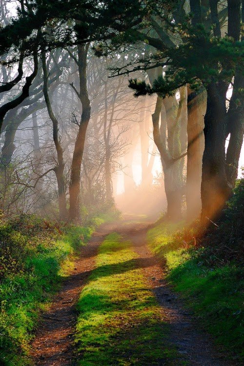 UNA LUZ EN EL CAMINO.jpg