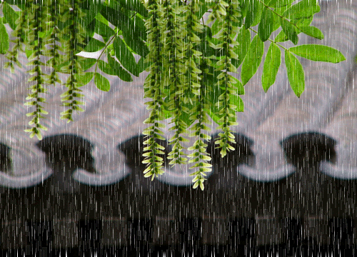 gplus6538375667004518609.gif