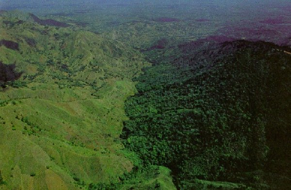 Deforestation in Haiti