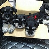 1353142210440_resized