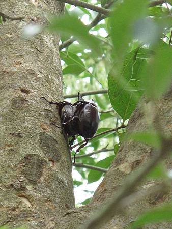 IMG_0018.JPG