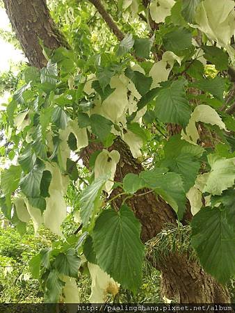 WP_000449.jpg