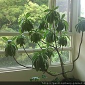 WP_000546.jpg