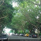 WP_000146.jpg