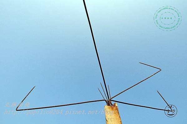 DSC_2209.JPG