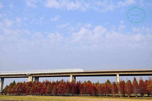 DSC_8316.JPG