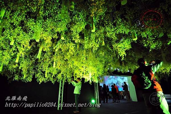 13 2014台灣國際蘭展蘭蕙館.JPG