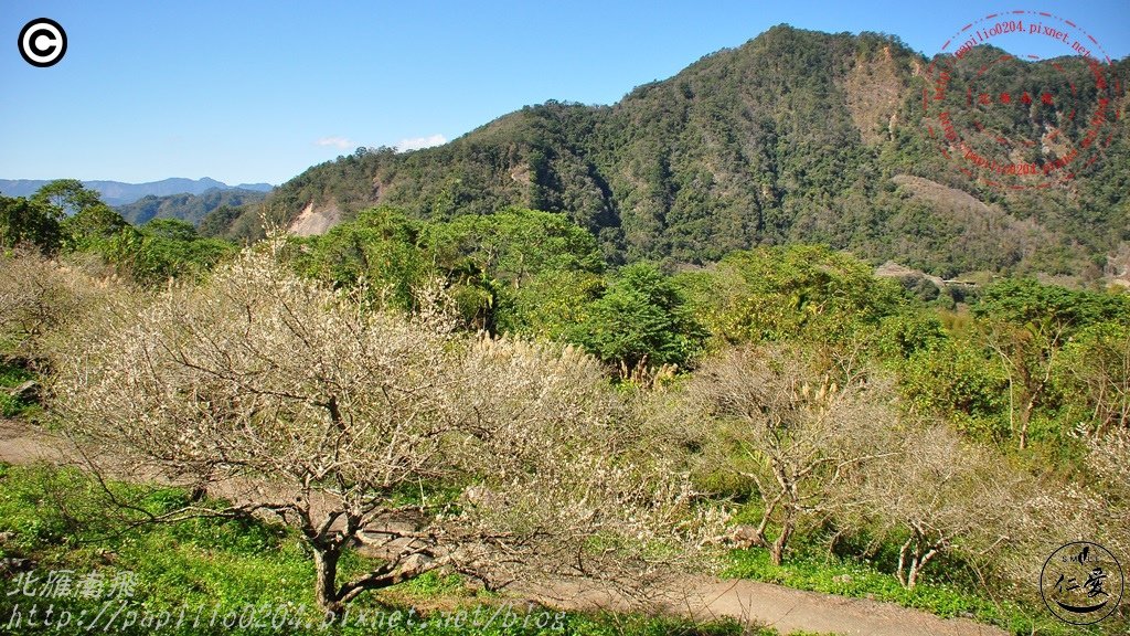 DSC_0366.JPG