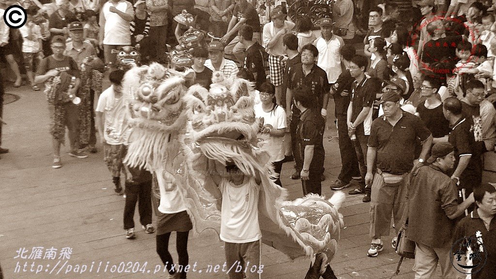 DSC_2439.JPG