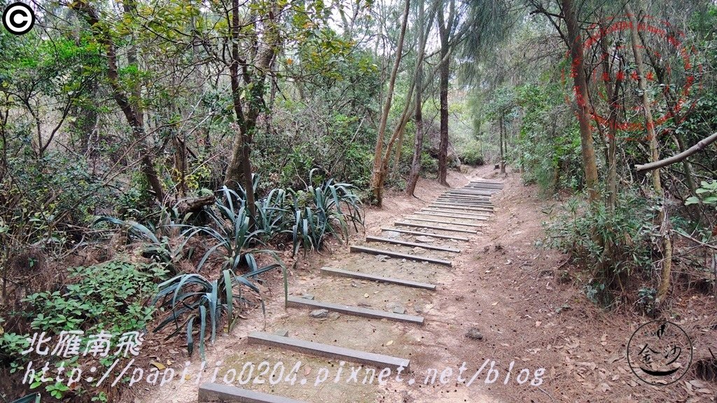 五虎山登山步道山西段(登山口)