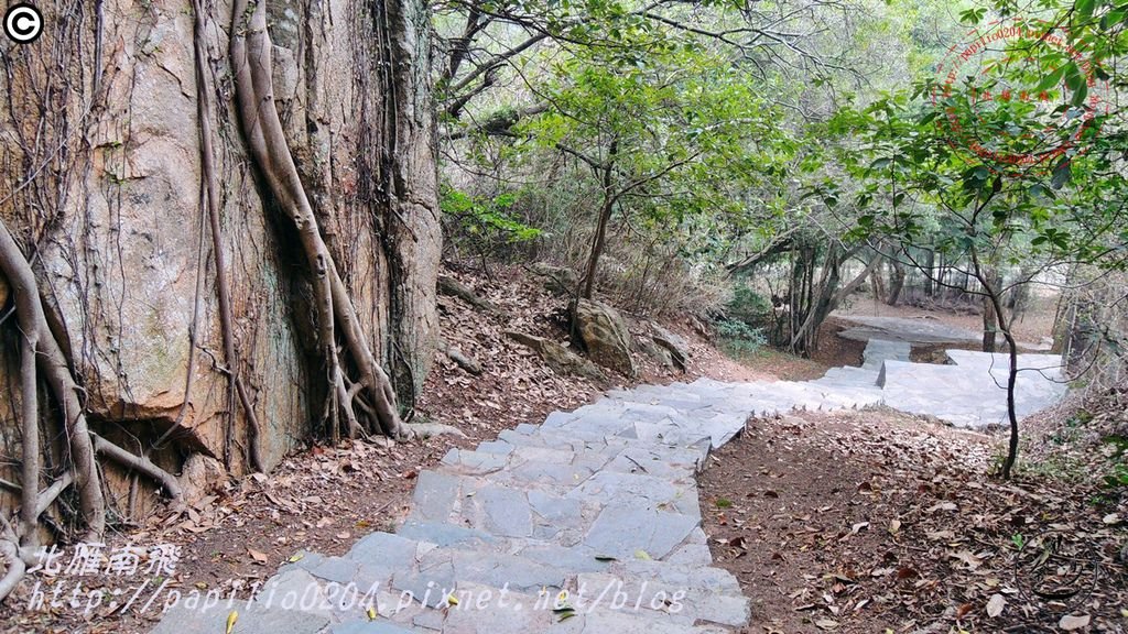 五虎山登山步道山西段(登山口)