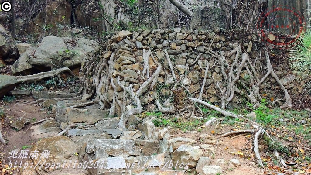 五虎山登山步道山西段(登山口)