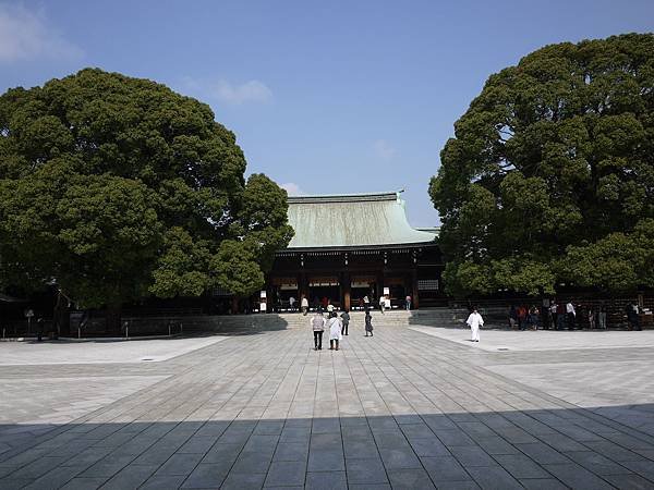P1040610.JPG