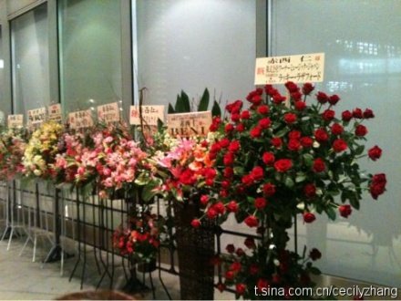 花7.jpg