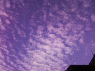 相片0265.jpg