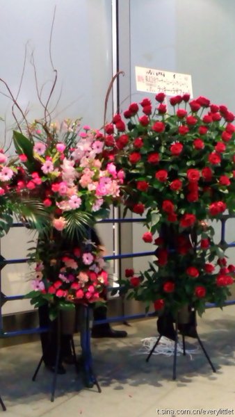 花6.jpg