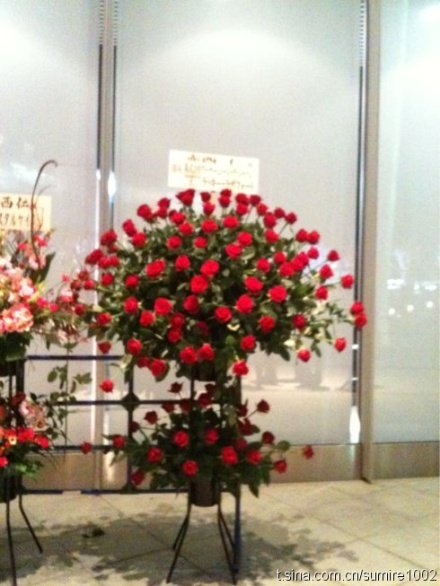 花4.jpg