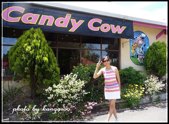 【The Candy Cow】 店門