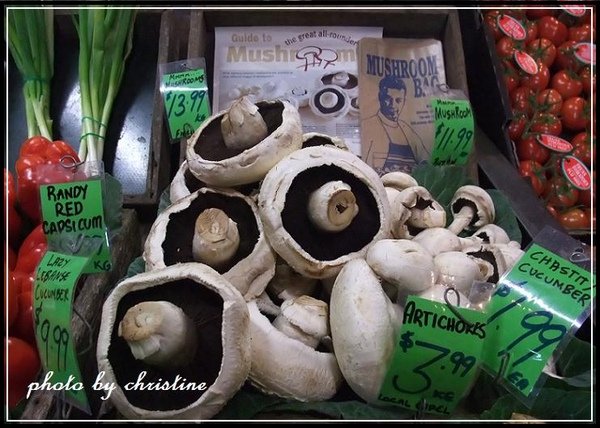 【The Forbidden Fruit Store】on Highway 1