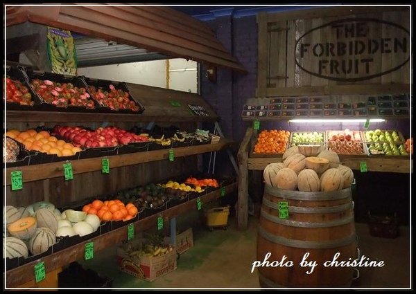 【The Forbidden Fruit Store】on Highway 1