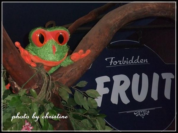 【The Forbidden Fruit Store】on Highway 1