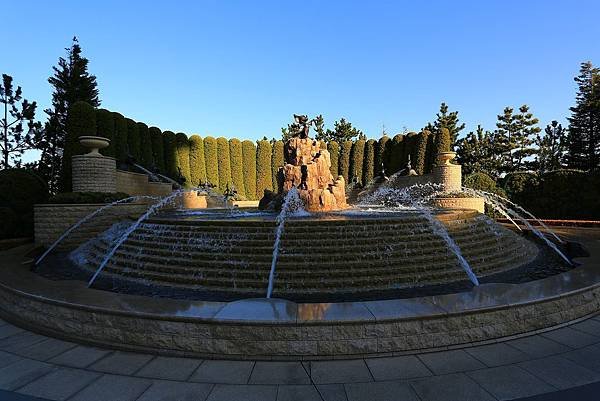 IMG_8950.JPG
