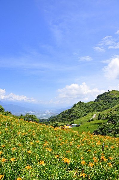 DSC_0368.JPG