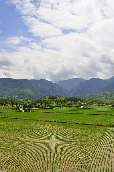 DSC_0355.JPG