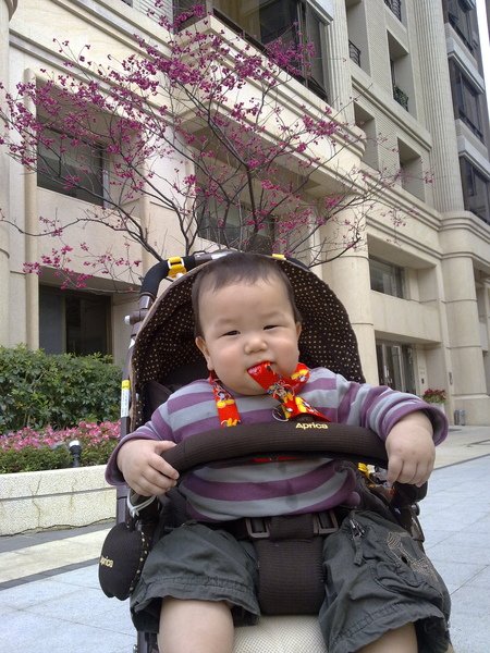 20090222049.jpg