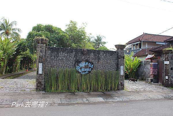 羅威那-18.jpg