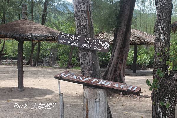 科隆帕歐-3.jpg