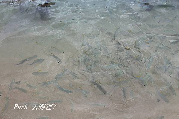 希卡杜瓦-47.jpg