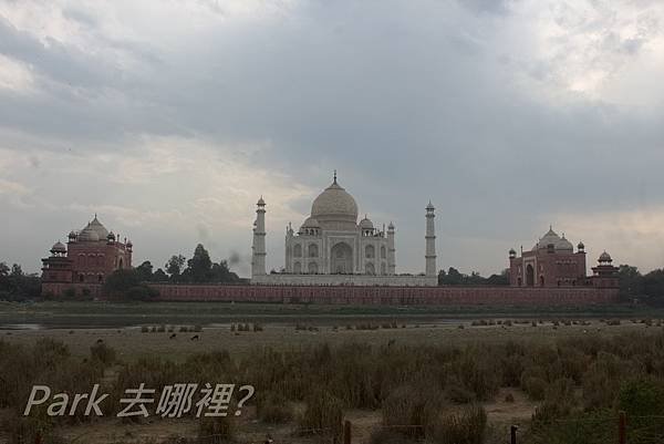 月光花園-7.jpg