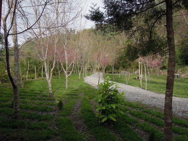 20120113烏松崙張家堡_0447_調整大小.jpg