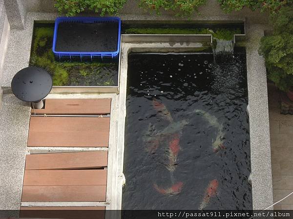 20120812魚池_0006_調整大小