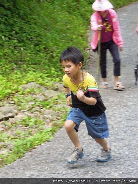 20130630南投鹿谷忘憂森林_0037.jpg