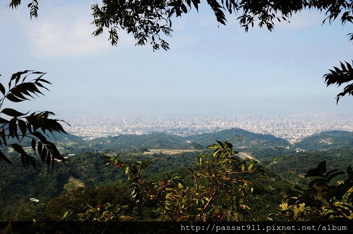 20141012台中大土亢一二號登山步道_0069_調整大小.jpg