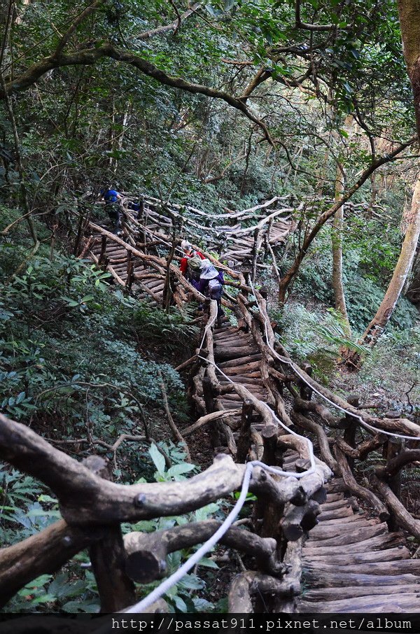 20141012台中大土亢一二號登山步道_0241_調整大小.jpg