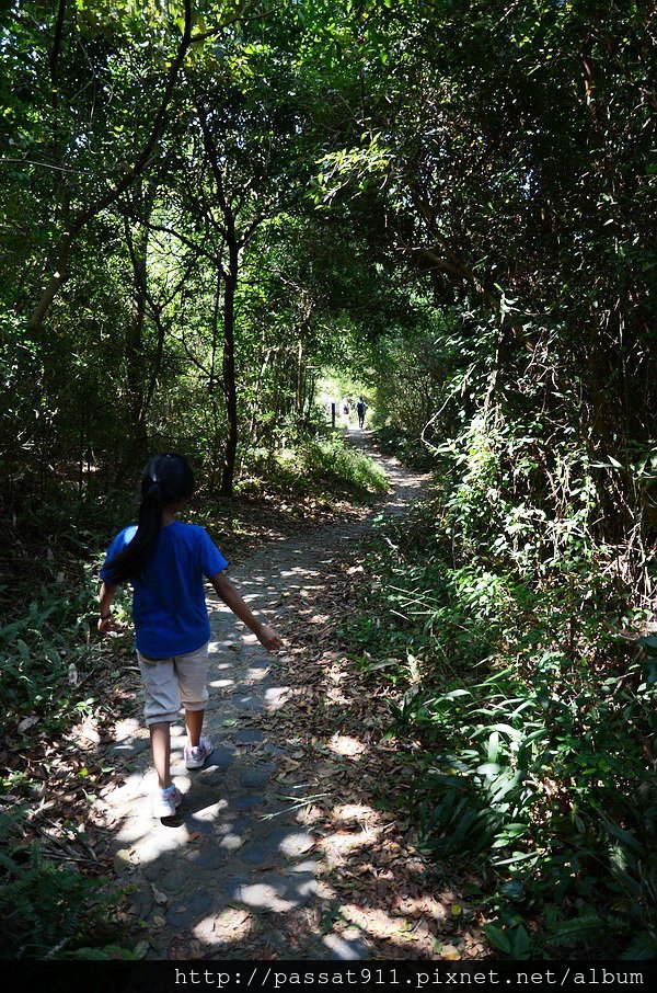 20141012台中大土亢一二號登山步道_0294_調整大小.jpg