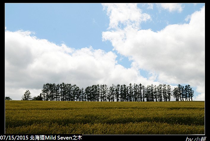 20150715北海道美瑛拼布之路-Mild Seven_0001.jpg