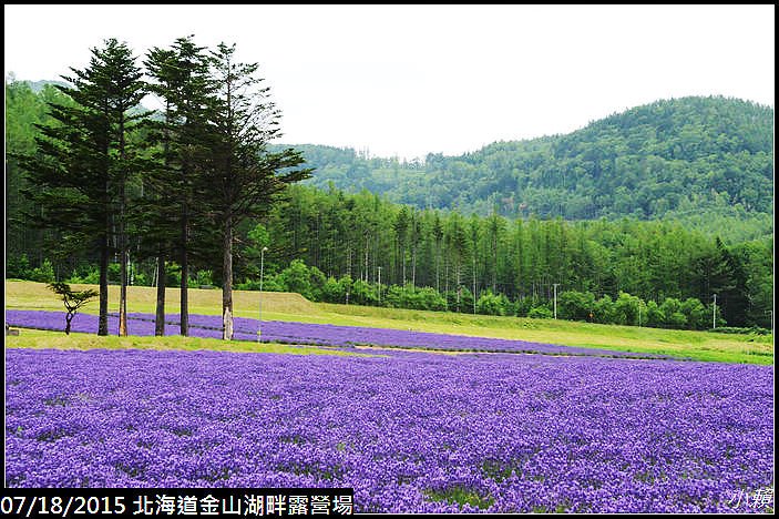 20150717北海道金山湖畔露營場_0122.jpg