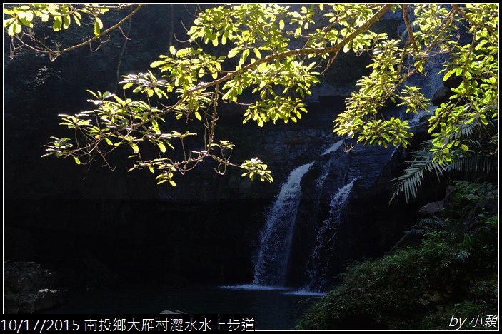 20151017魚池鄉澀水水上步道_0139.jpg