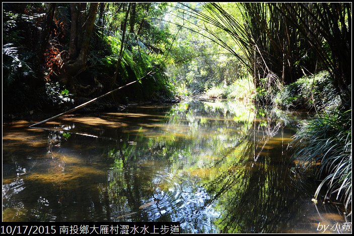 20151017魚池鄉澀水水上步道_0251.jpg