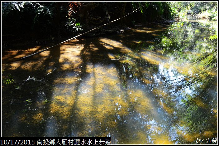 20151017魚池鄉澀水水上步道_0254.jpg