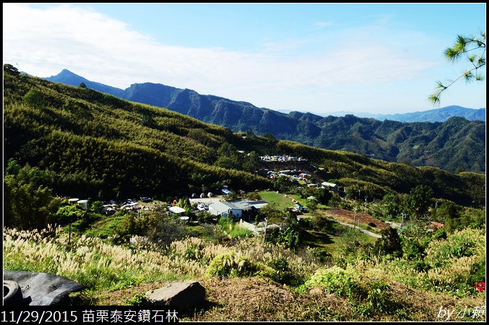 20151128苗栗泰安鑽石林_0503.jpg