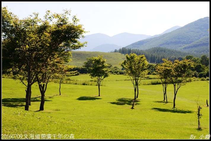20160709北海道帶廣千年の森085.jpg